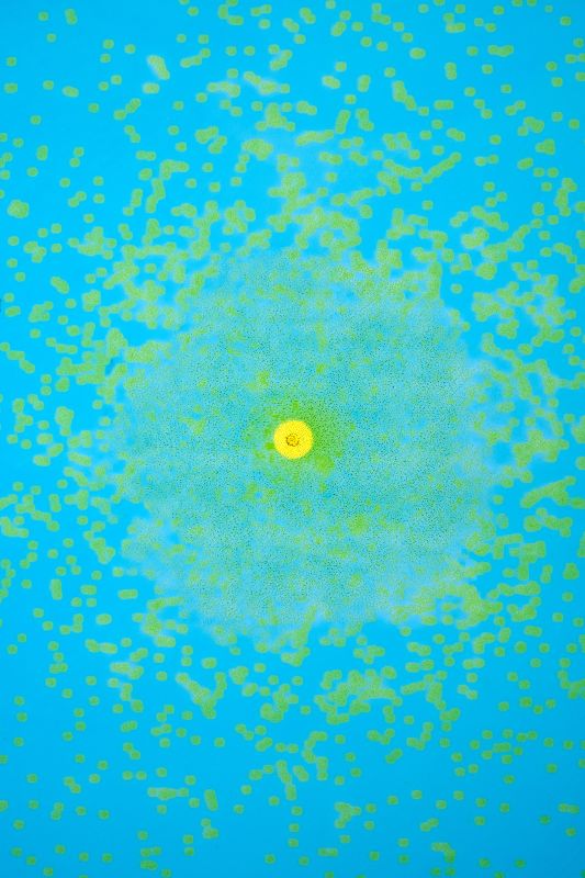 Alex Fischer, As The Sea Curves, 20221021