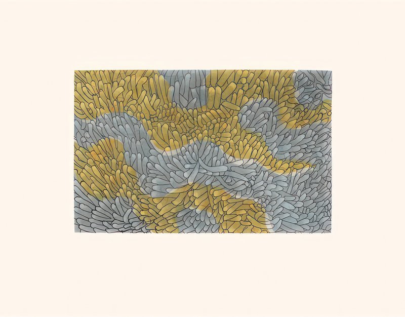 Olooreak Etungat, Coral Reef, 2022, 13.33 × 16.88 in, 131/3x167/8 in etching & chine collé