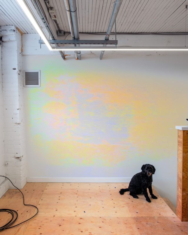 Untitled [GTZ5404], 20250819, digital image