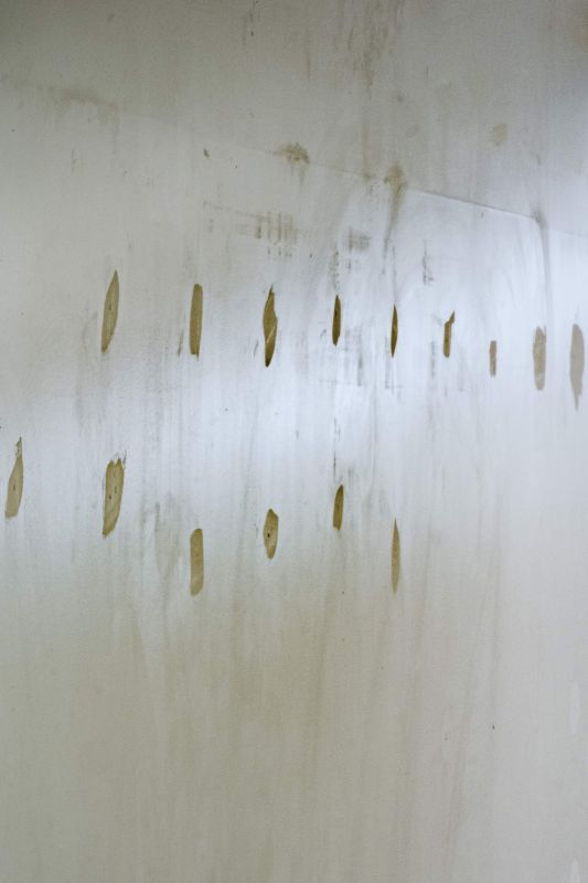 Untitled [GTZ5666], 20250819, digital photograph