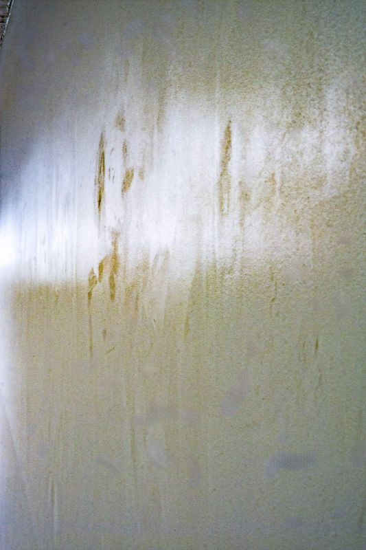 Untitled [GTZ5671], 20250819, digital photograph