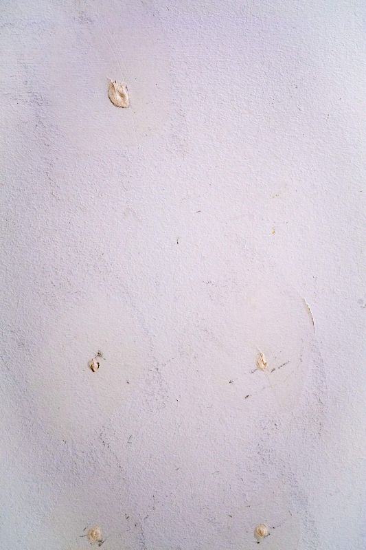 Untitled [GTZ5676], 20250819, digital photograph