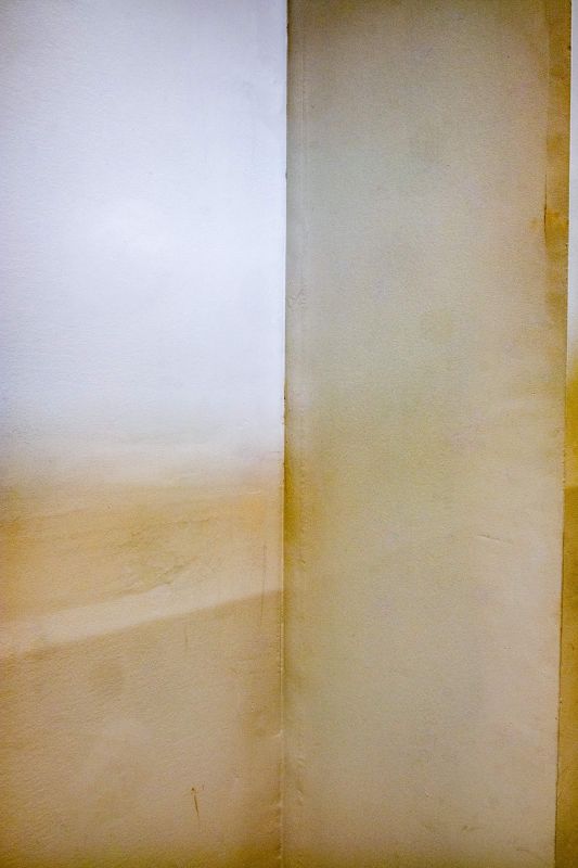 Untitled [GTZ5700], 20250819, digital photograph