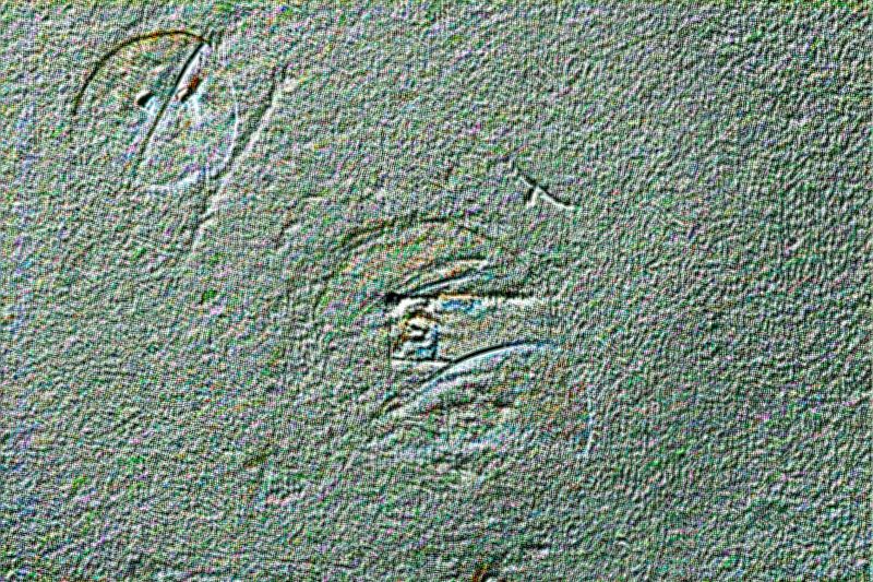 Untitled [Untitled-1], 20250819, digital photograph