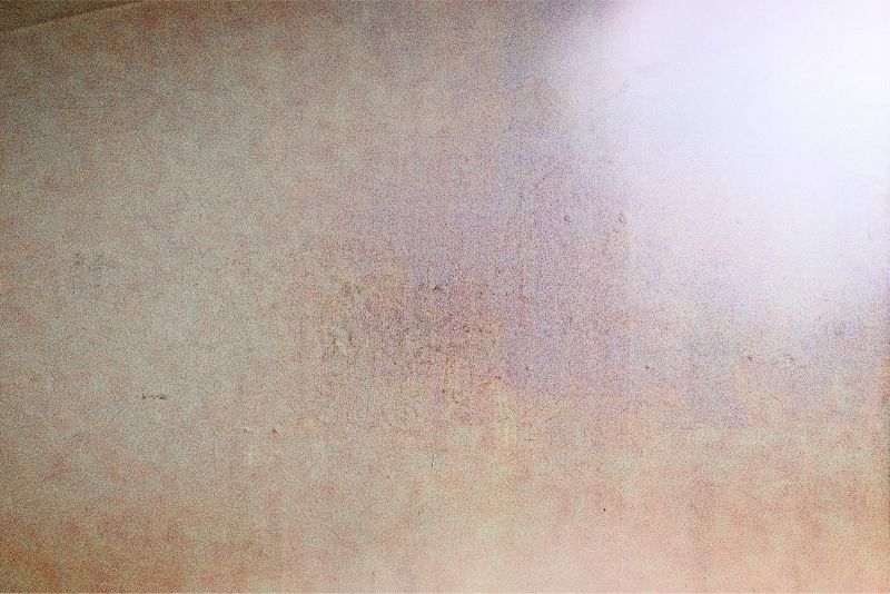 Untitled [Untitled-2], 20250819, digital photograph