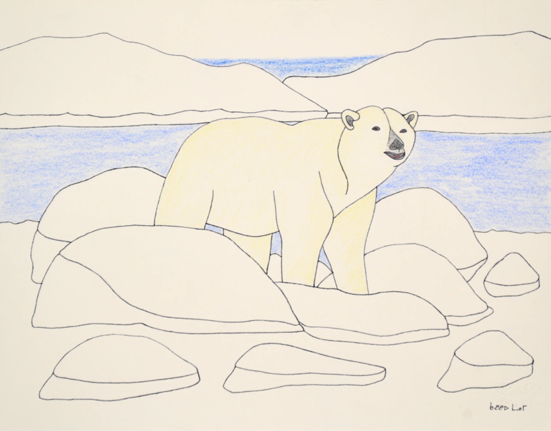 Qavavau Manumie, Untitled (bear), 2026, digital image