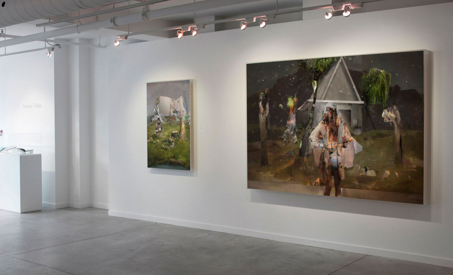 Alex Fischer, (LEFT) The Invisible Man Returns, 2010. (RIGHT) Cookes Cape, 2010 installed in 'Smarter Today' at O'Born Contemporary