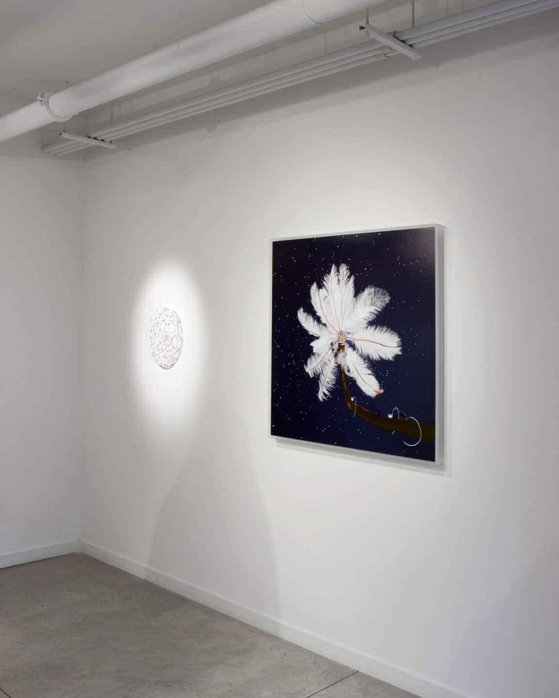 Alex Fischer, LEFT: Nervous System Preserver, 2013. RIGHT: Feather Feeder, 2013 install at Dry Pixels and Wet Molecules, O'Born Contemporary Alex Fischer, LEFT: Nervous System Preserver, 2013. RIGHT: Feather Feeder, 2013 install at Dry Pixels and Wet Molecules, O'Born Contemporary