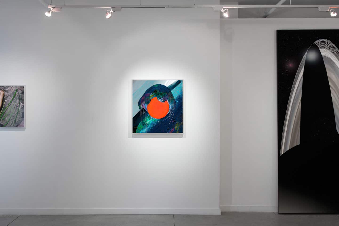 Alex Fischer, Jelly Portrait, 2013 install at Dry Pixels and Wet Molecules, O'Born Contemporary Alex Fischer, Jelly Portrait, 2013 install at Dry Pixels and Wet Molecules, O'Born Contemporary