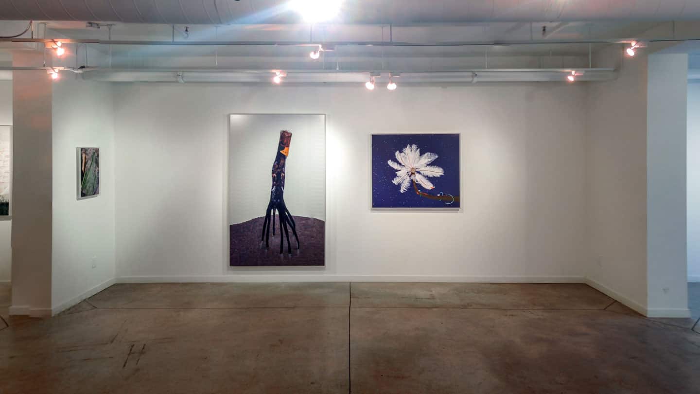 The Collective, O'Born Contemporary