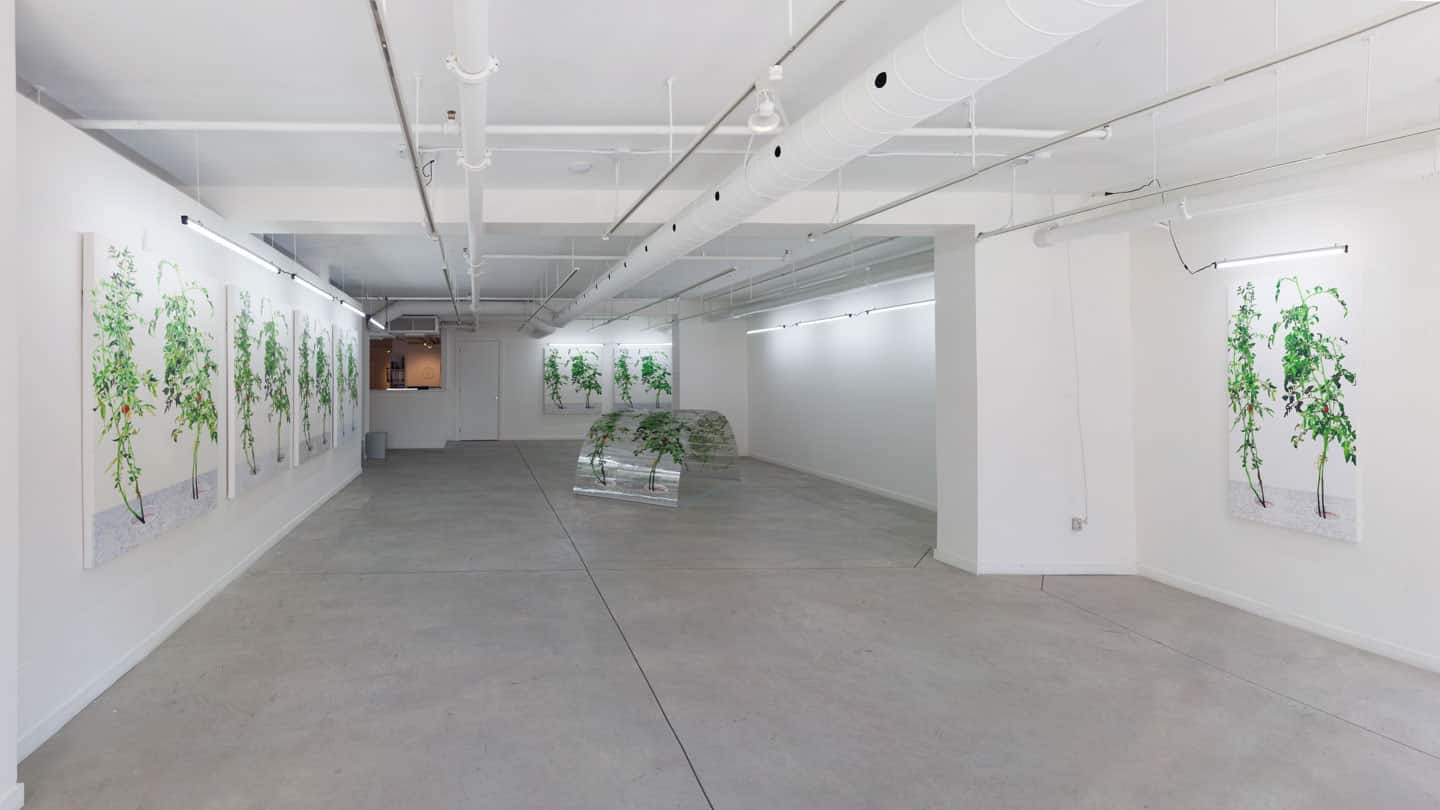 Alex Fischer, 1, 7 and 6000, O'Born Contemporary