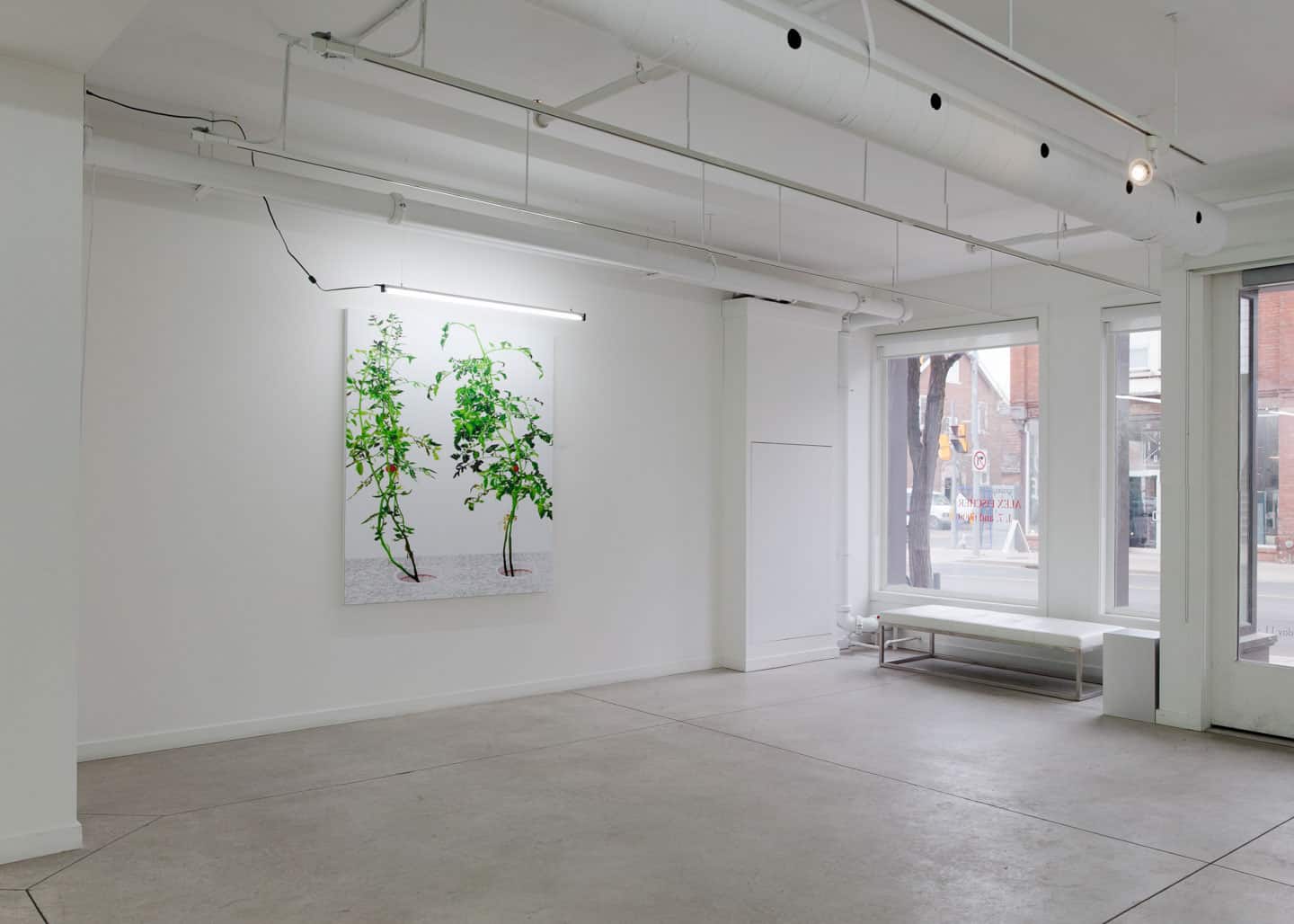 Alex Fischer, VII, 2015, 60&times;48 giclee on dibond, installed in 1, 7 and 6000, O'Born Contemporary