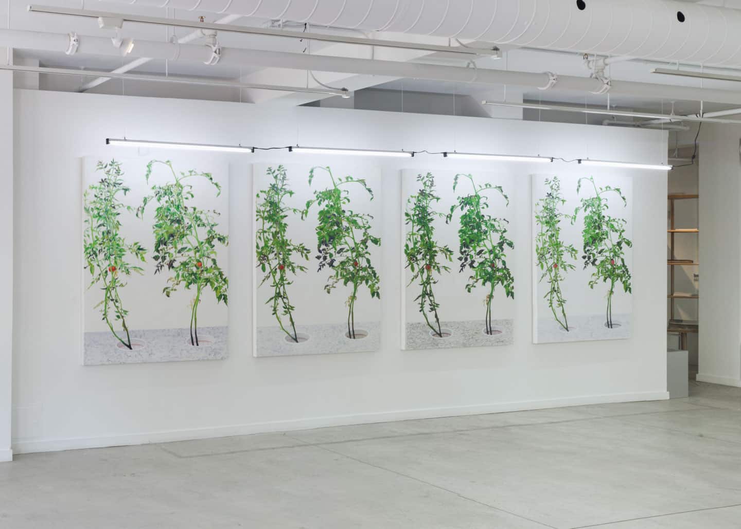 Alex Fischer, VII, 2015, (4&times;) 60&times;48in oil on canvas, installed in 1, 7 and 6000, O'Born Contemporary