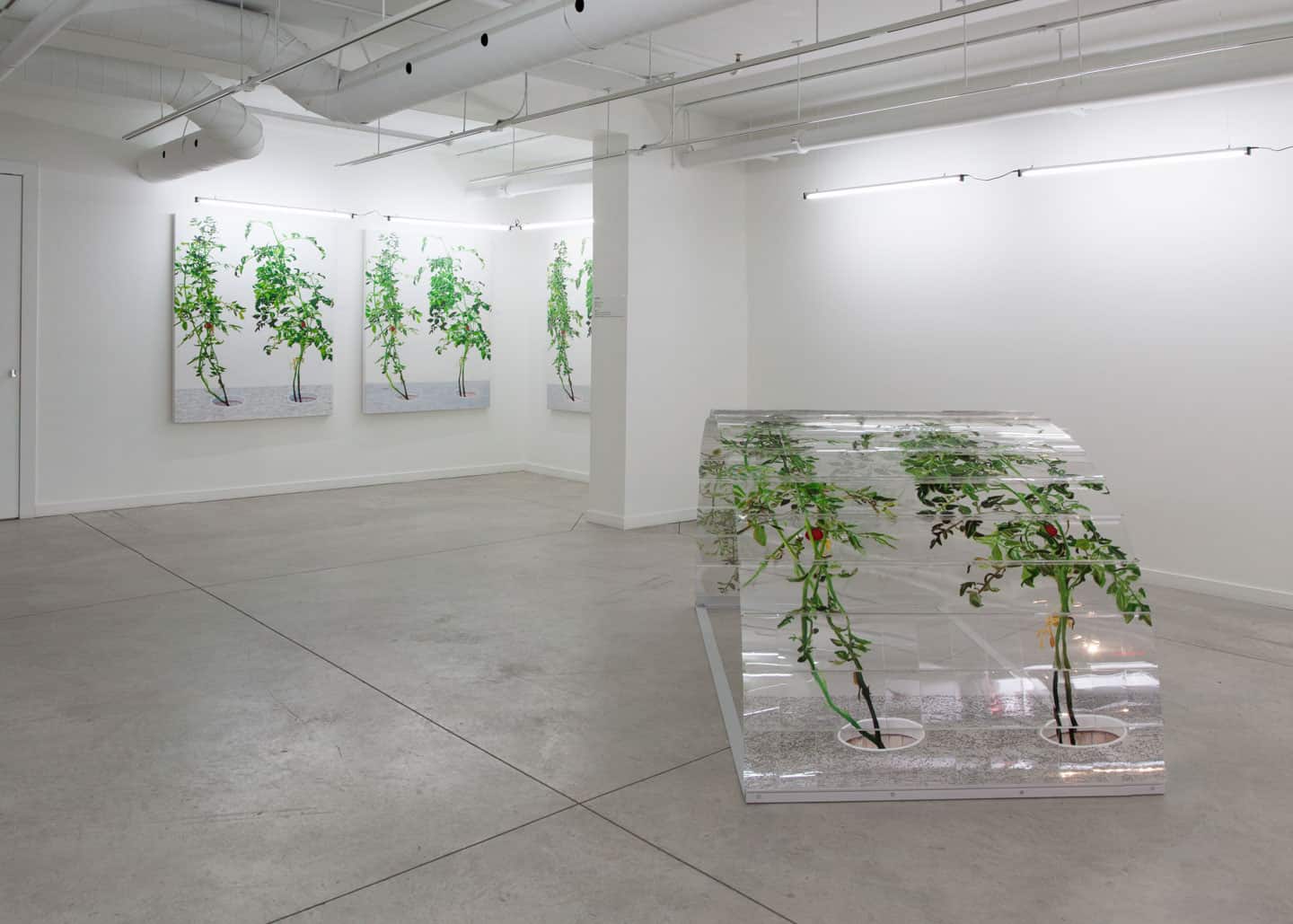 Alex Fischer, VII 6000, 2015, installed in 1, 7 and 6000, O'Born Contemporary