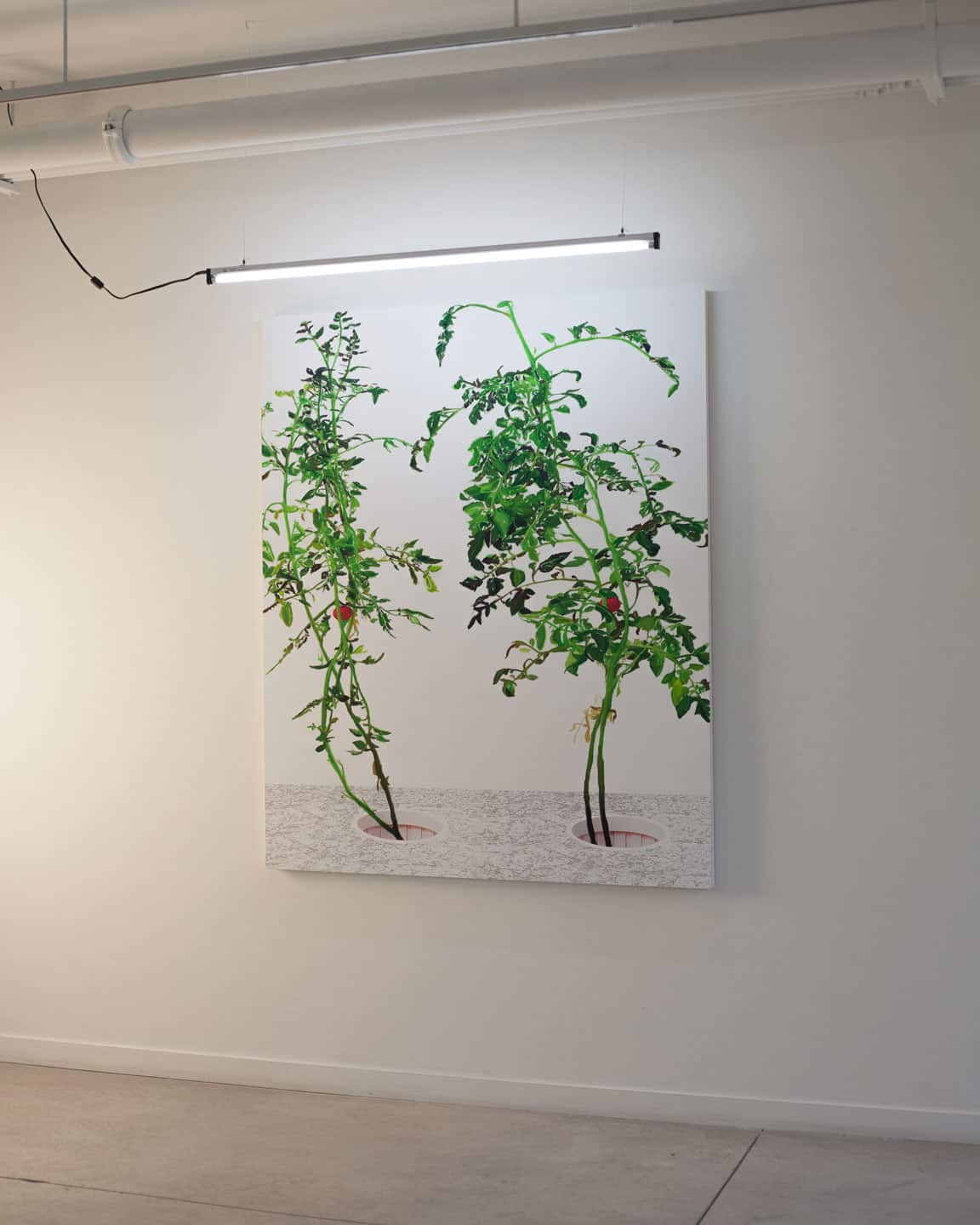 Alex Fischer, VII, 2015, 60&times;48in giclee on dibond