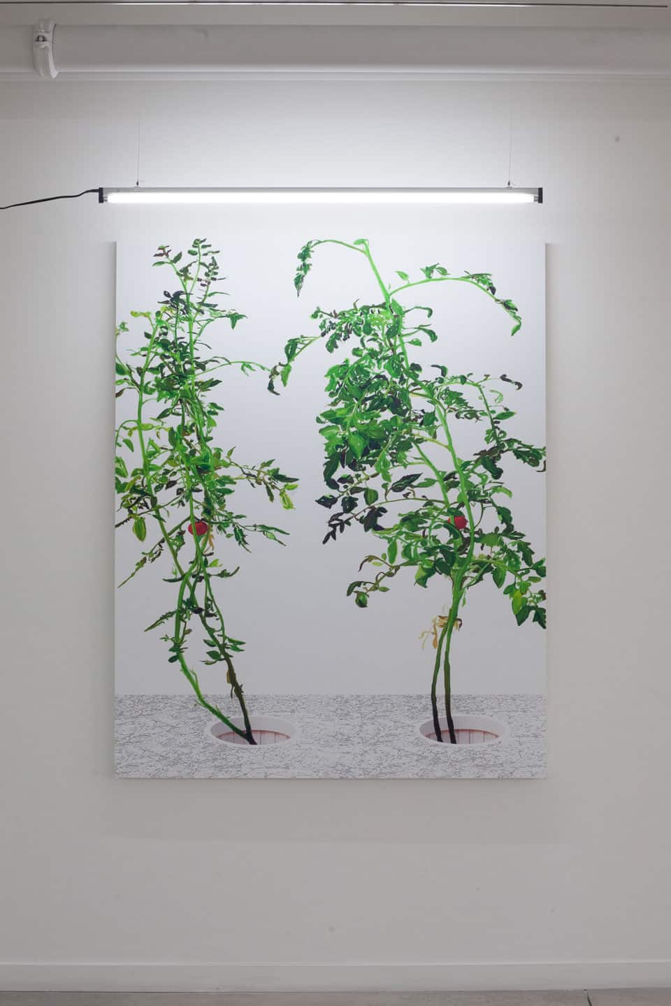 Alex Fischer, VII, 2015, 60&times;48in giclee on dibond