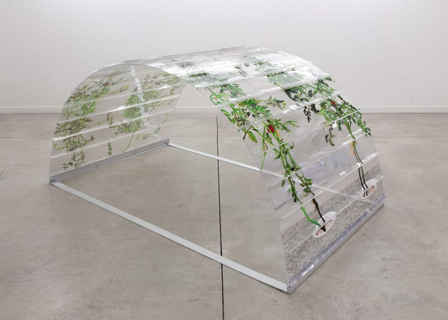 Alex Fischer, VII 6000, 2015