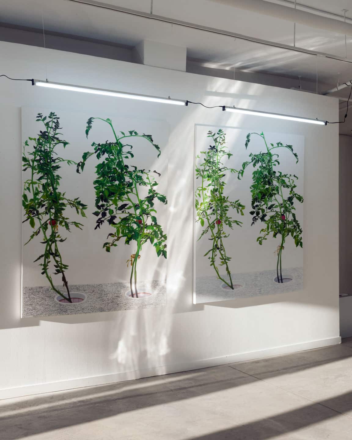 Alex Fischer, 1, 7 and 6000 evening light, O'Born Contemporary