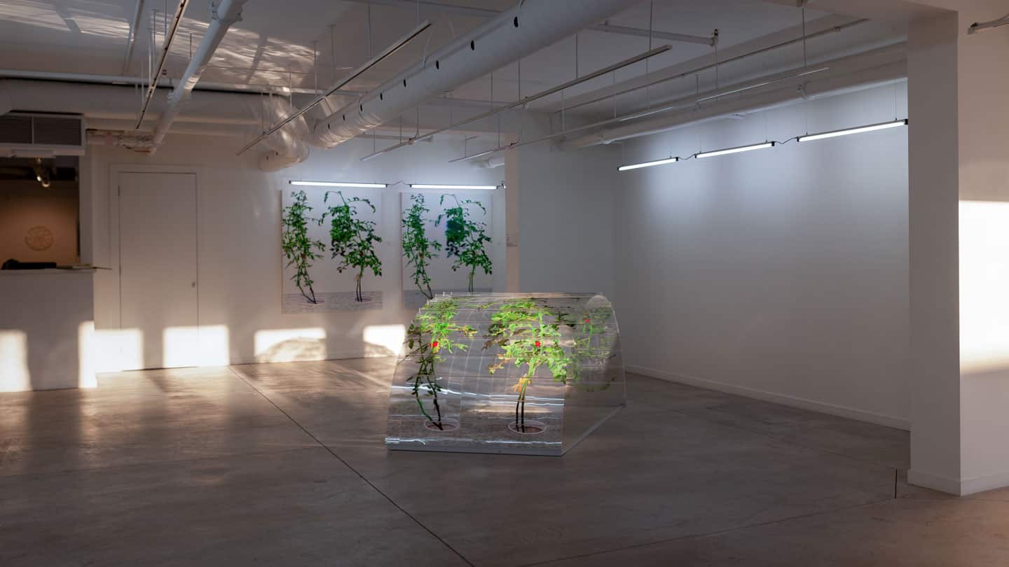 Alex Fischer, 1, 7 and 6000 evening light, O'Born Contemporary