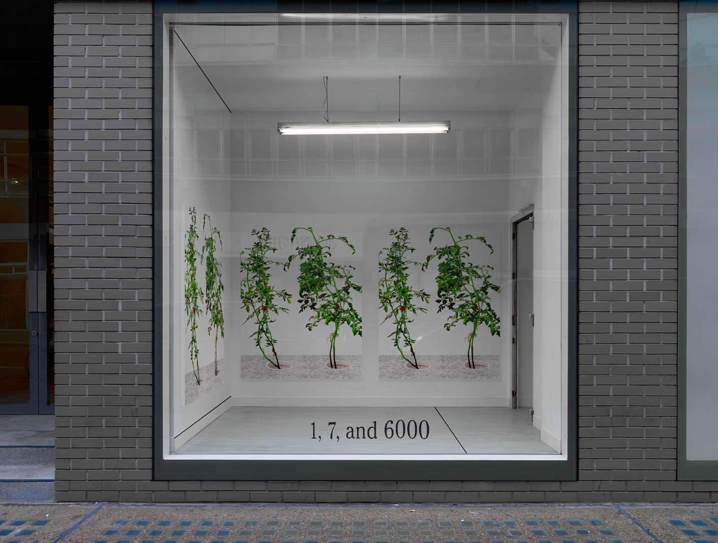 Alex Fischer, 1, 7 and 6000 elements mockup