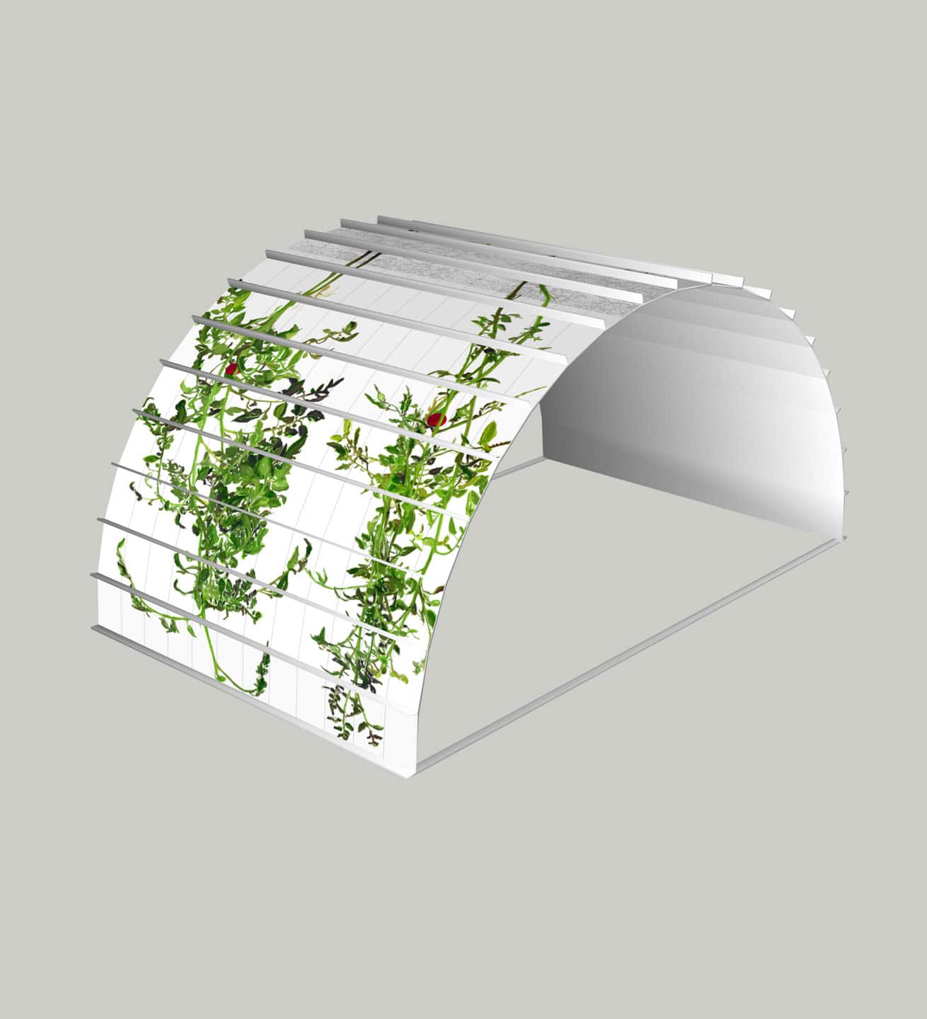 Alex Fischer, 1, 7 and 6000 elements mockup