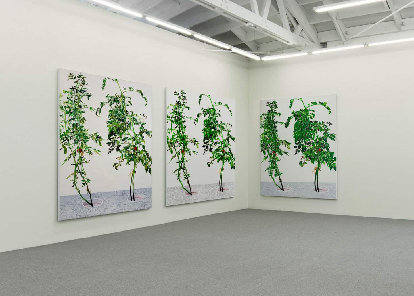 Alex Fischer, 1, 7 and 6000 elements mockup