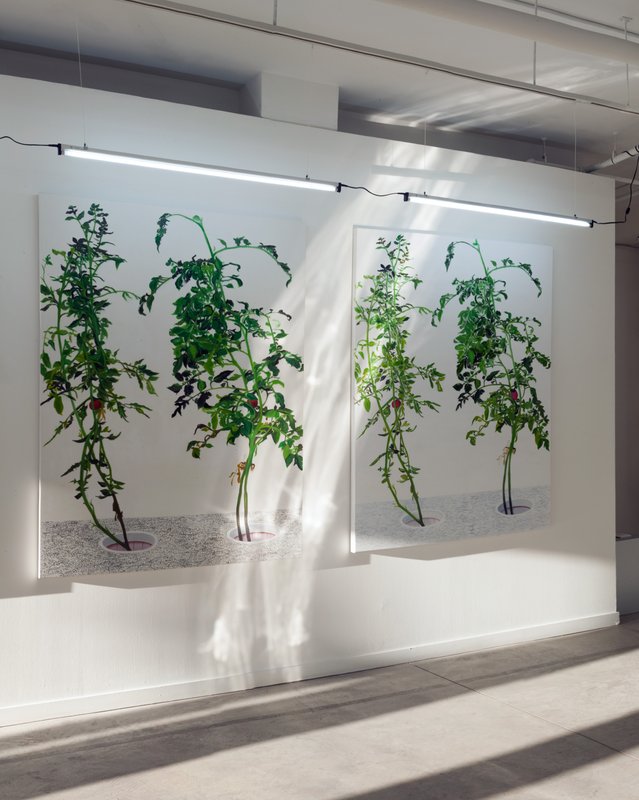 2015-02-26 41 Alex Fischer, 1, 7, and 6000, O'Born Contemporary, Toronto, Canada - evening