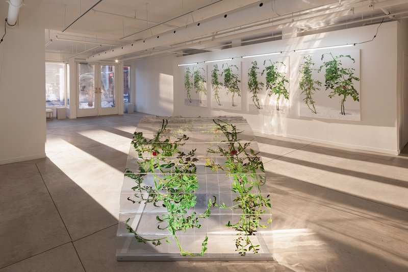 2015-02-26 44 Alex Fischer, 1, 7, and 6000, O'Born Contemporary, Toronto, Canada - evening