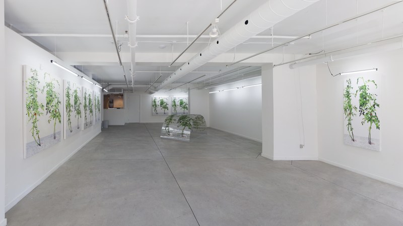 2015-02-28 Alex Fischer 1 7 6000 Oborn Contemporary 1