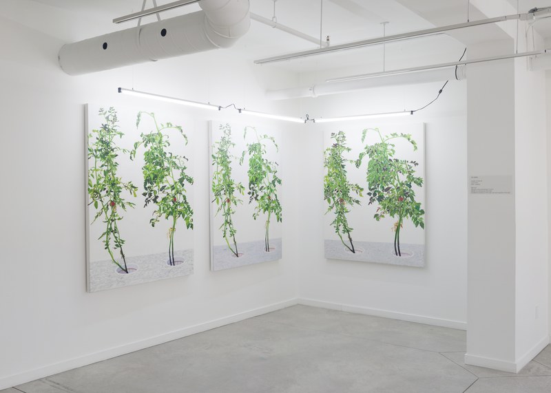 2015-02-28 Alex Fischer 1 7 6000 Oborn Contemporary 4