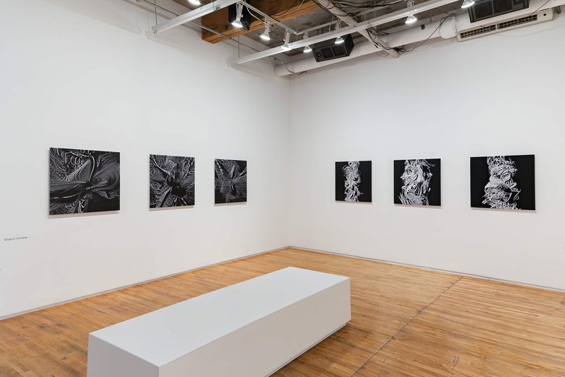 2016-trace-copy-render-circuit-17