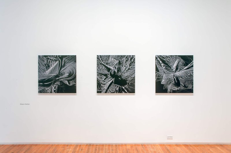 2016-trace-copy-render-circuit-18