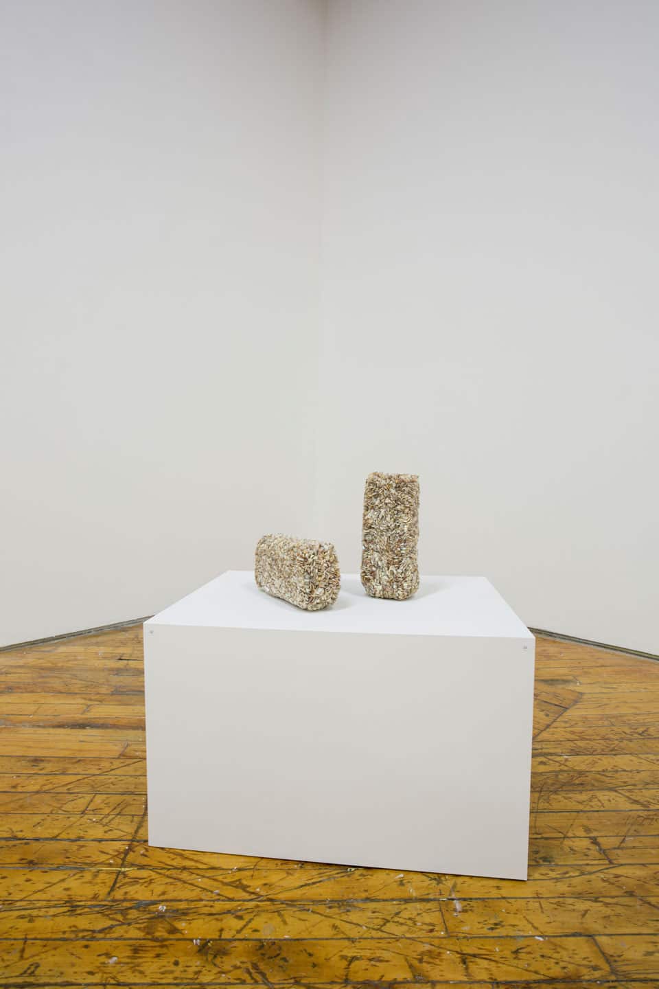 Bending Towards the Sun install at YYZ