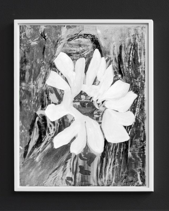 Alex Fischer, Super Seed B&W Blue, 2016, 14×11″, 356×280㎜ print