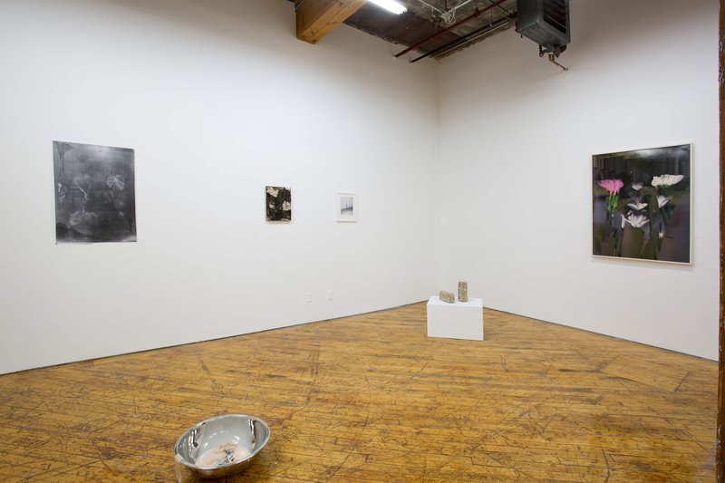 2019 Bending Towards the Sun YYZ 04 0N4A8009(L)