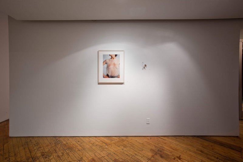 2019 Bending Towards the Sun YYZ 09 0N4A8030(L)