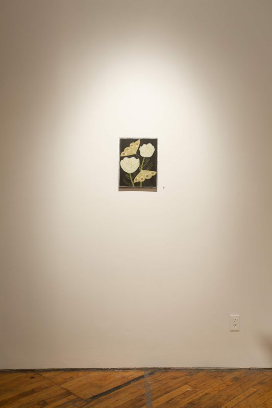 2019 Bending Towards the Sun YYZ 16 0N4A8084(L)