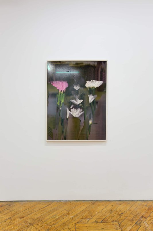 2019 Bending Towards the Sun YYZ 20 0N4A8103(L)