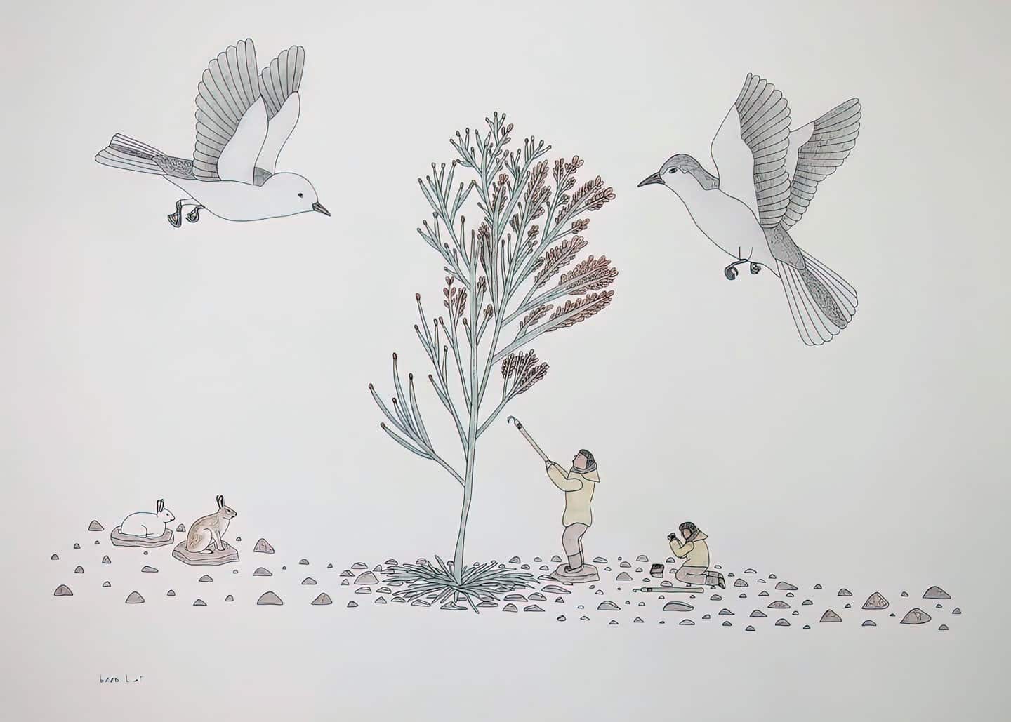 Qavavau Manumie, untitled (Berry Picking), 2006-2007, 508×660mm / 20×26inch coloured pencil, pentel pen on paper