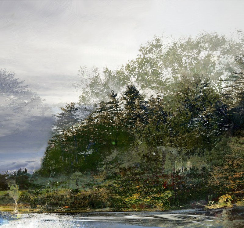 Alex Fischer, Day Forest 118x126, 2021-08-01