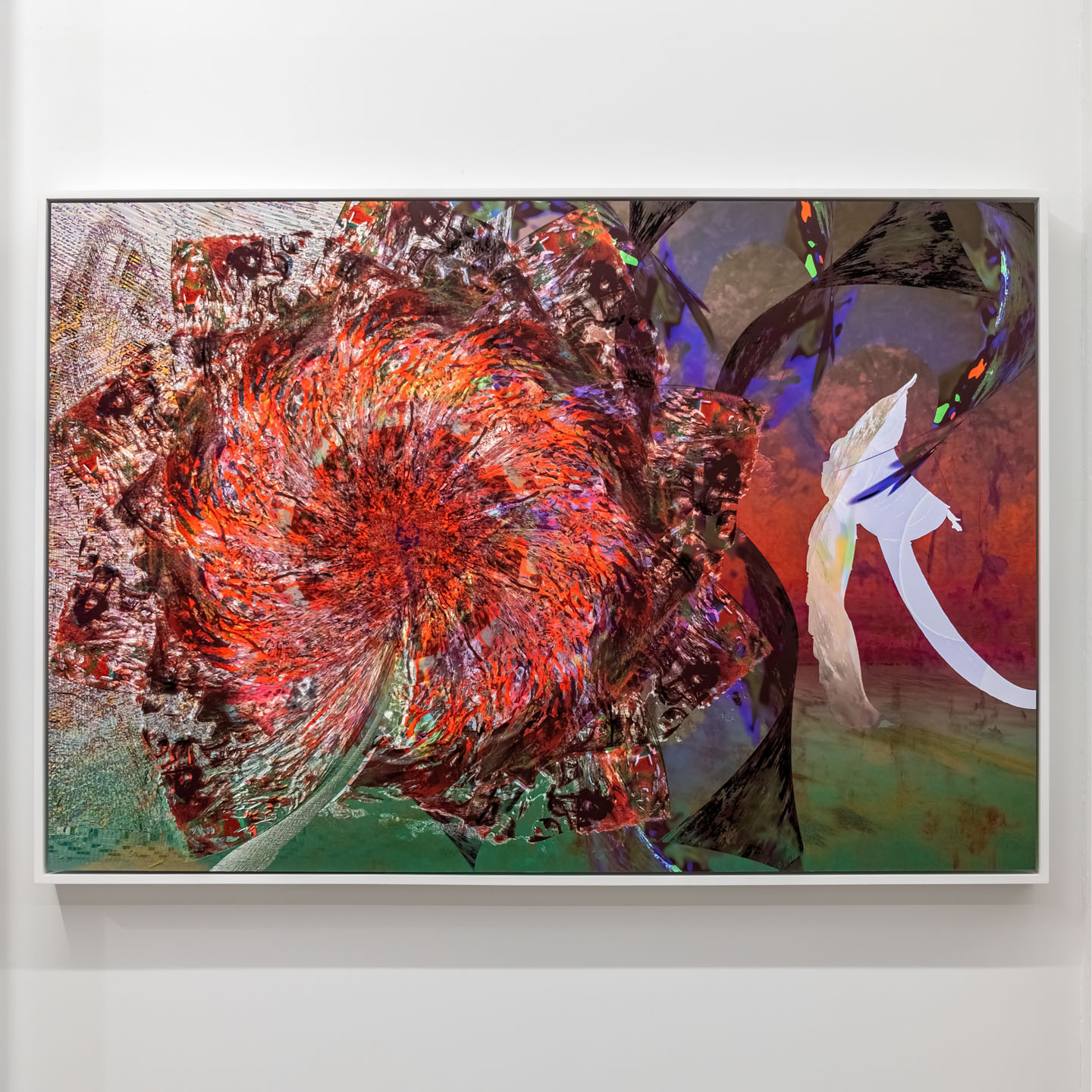 Alex Fischer, Daisy Chain, 2022-220202 28 × 41½ inch matte gicleé mounted to aluminum, 30 × 43½ × 2 inches framed