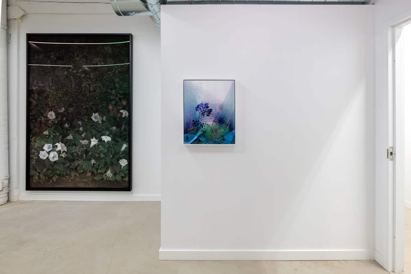 Zachari Logan, Alex Fischer, NAMARA Projects, Giving Entry