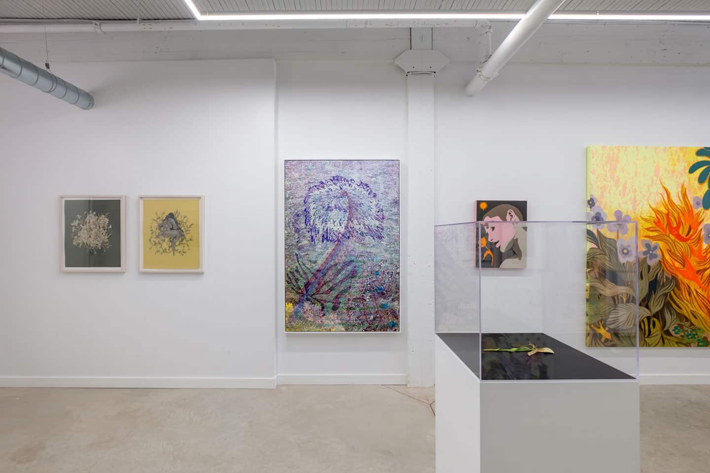 NAMARA projects, Winnie Truong, Zachari Logan, Alex Fischer, & Terran McNeely