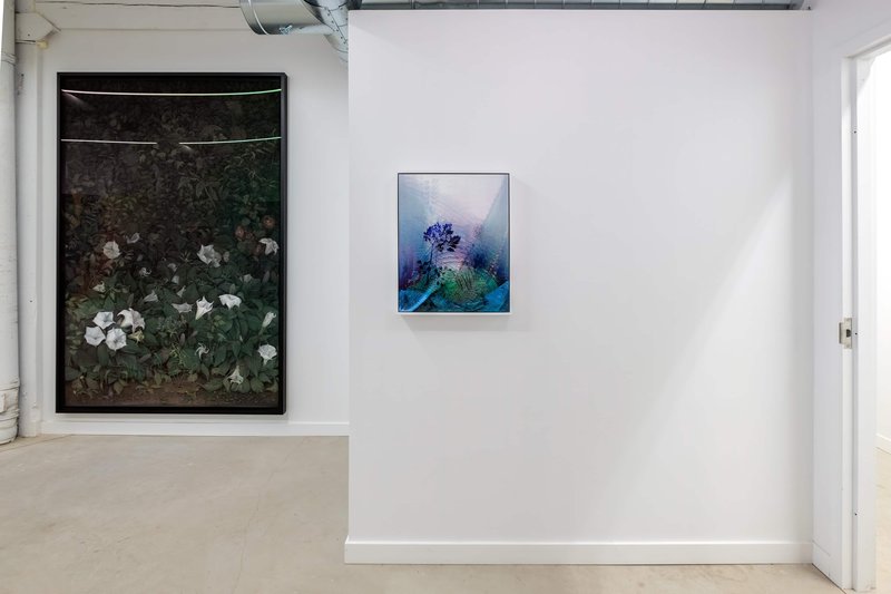 NAMARA-projects_Giving-Entry_05-Alex-Fischer-Untitled-202270401