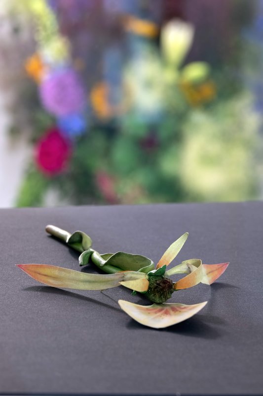 NAMARA-projects_Giving-Entry_72-Zachari-Logan-After-Mary-Delaney-2-6x4