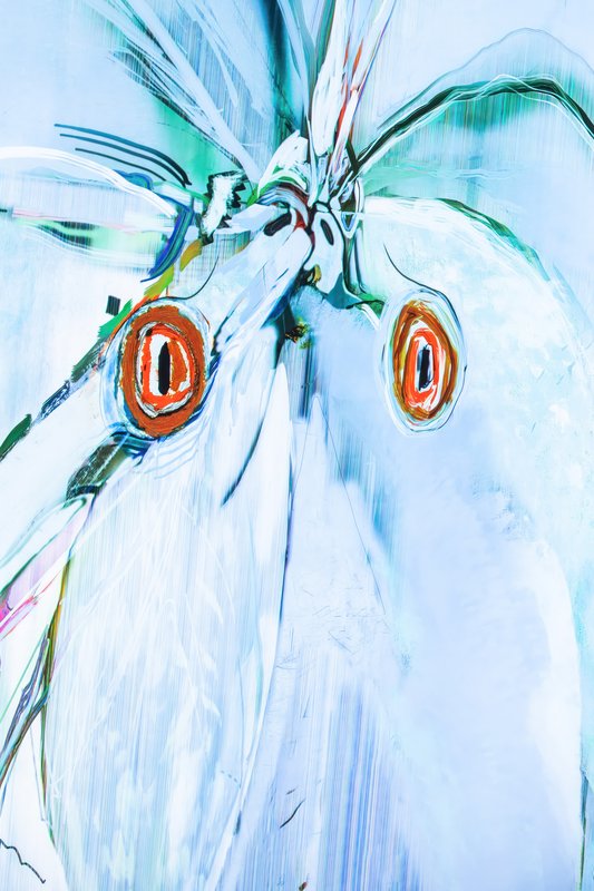 Alex Fischer, Blue Parrots, 2023, lightjet lightbox detail