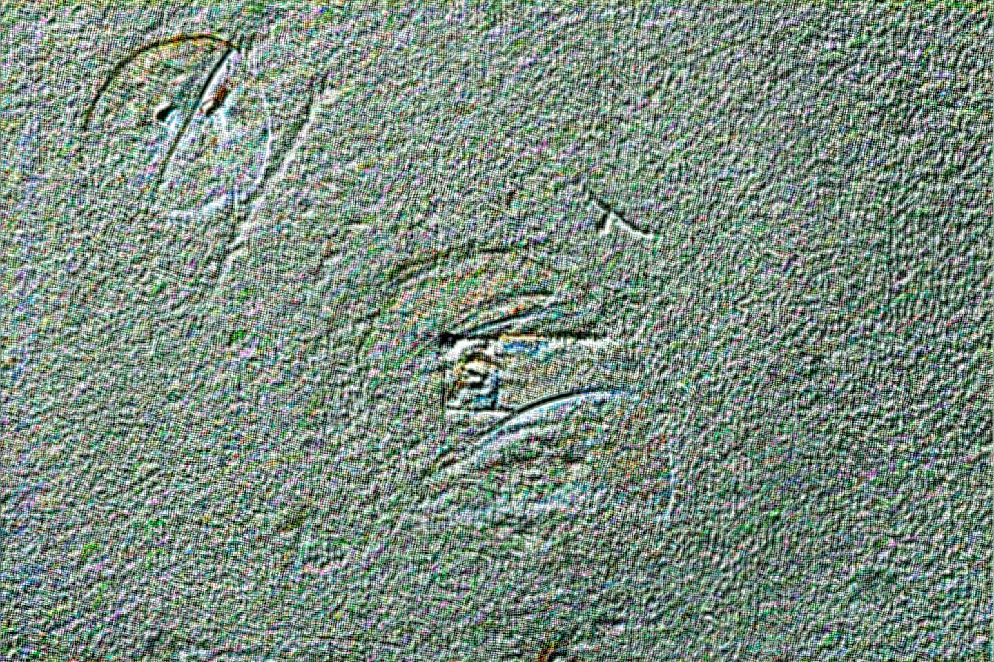 Alex Fischer, untitled 2 Ejected Bodies, 2025-08-26